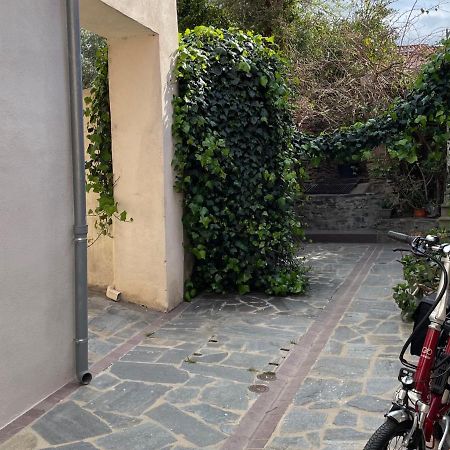 Studio Cabine A Collioure, A 100M De La Plage Et Des Commerces - Fr-1-309-153 Εξωτερικό φωτογραφία