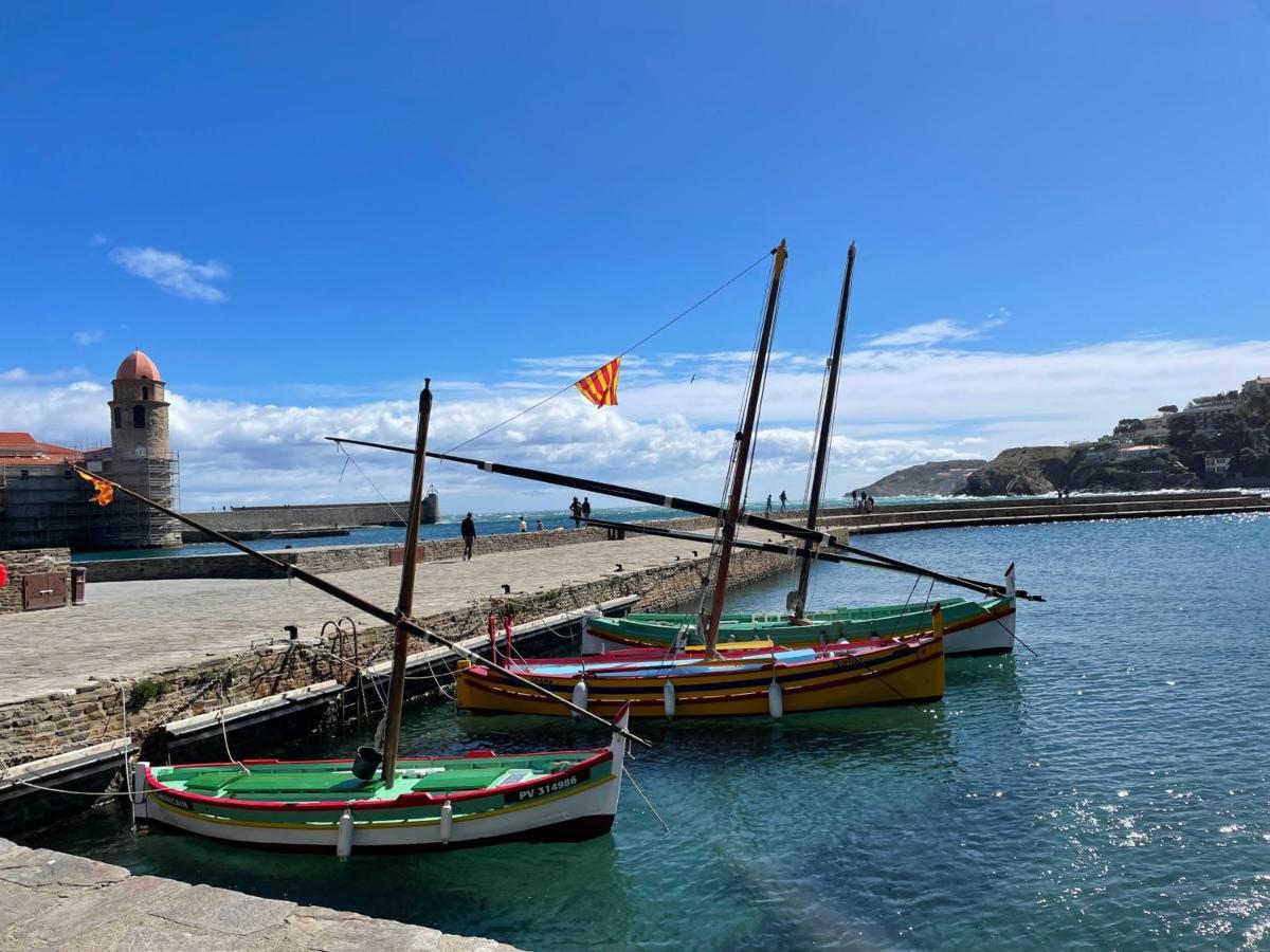 Studio Cabine A Collioure, A 100M De La Plage Et Des Commerces - Fr-1-309-153 Εξωτερικό φωτογραφία