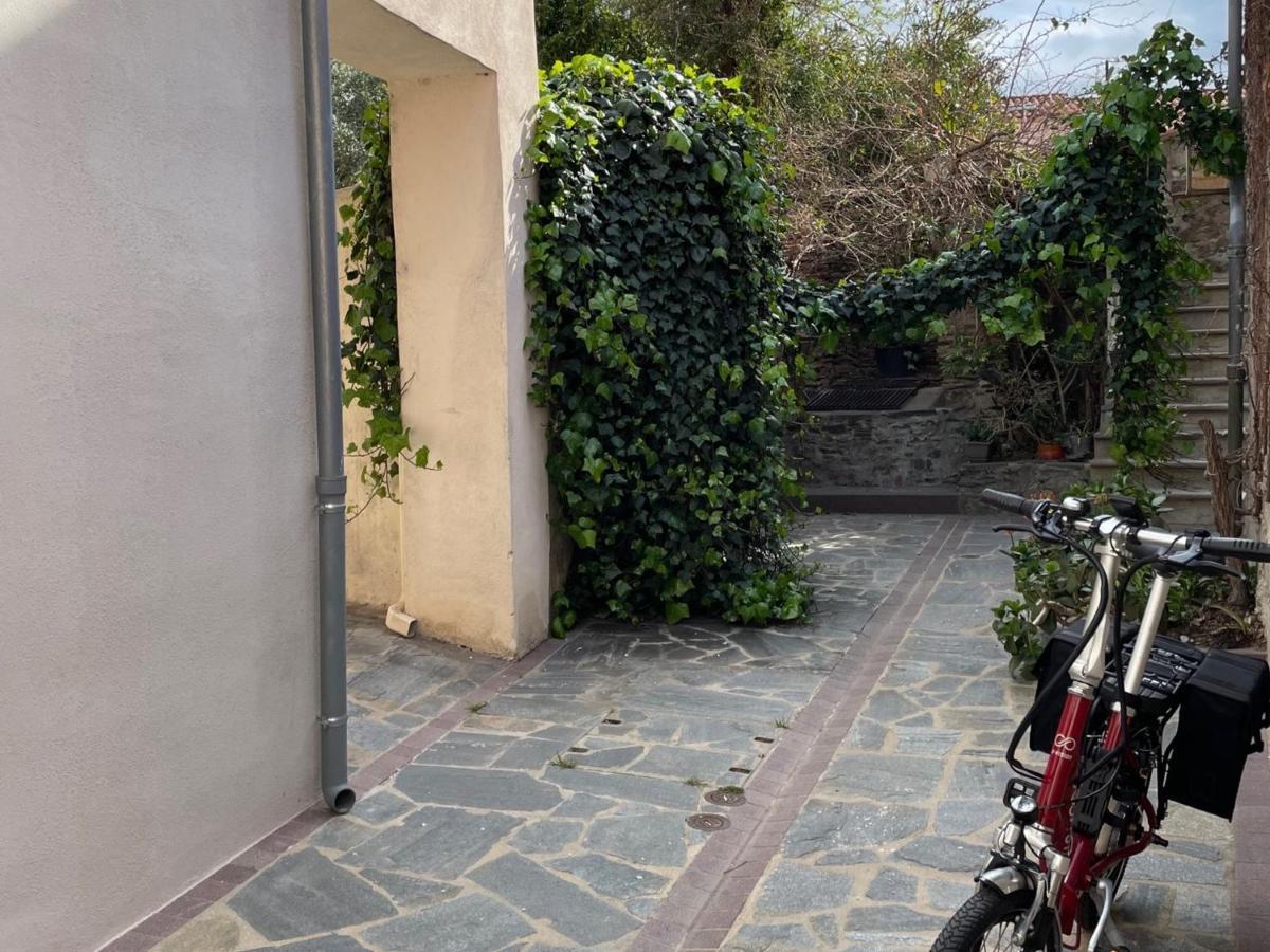Studio Cabine A Collioure, A 100M De La Plage Et Des Commerces - Fr-1-309-153 Εξωτερικό φωτογραφία